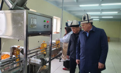 В Сузаке открылся маслоперерабатывающий завод