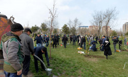 Акылбек Жапаров принял участие в посадке саженцев с представителями различных конфессий
