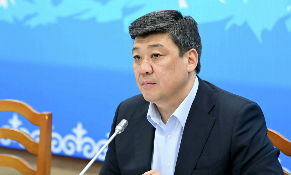 Бакыт Торобаев назначен зампредом кабмина