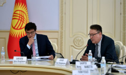 Состоялось первое заседание оргкомитета по подготовке и проведению Года защиты горных экосистем и климатической устойчивости