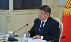 Кабмин определил порядок проведения земельной амнистии