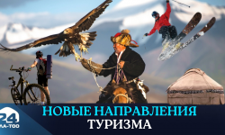 Новые направления туризма