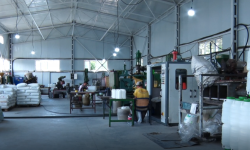 Аламүдүн районунда он ишкана ачылды