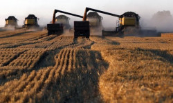 В Чуйской области стартовала уборочная кампания зерновых культур