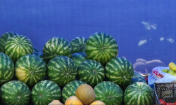 На столичных прилавках уже появилась продукция нового урожая