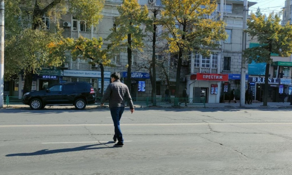 Нарушение ПДД. Более тысячи пешеходов оштрафованы