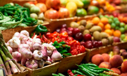В Кыргызстане отмечается рост выпуска сельхозпродукции