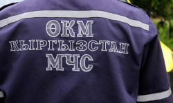 Поиски четырехлетней Аиши Мурдиновой прекращены