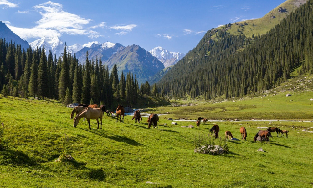 Кыргызстанга Германиядан туристтик поезд келди