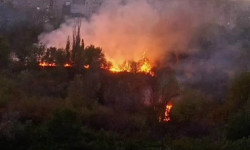 Пожар в Ботаническом саду локализован