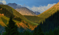 Чистота природы - чистота души