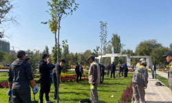 В парке имени Байтик Баатыра высадили новые деревья