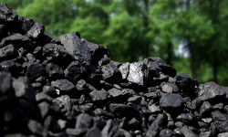 Ош шаарында көмүрдүн тоннасы 6000-7500 сомдон сатылууда