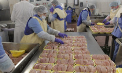 С 2023 года вступает в силу техрегламент ЕАЭС о безопасности мяса птицы и продукции его переработки