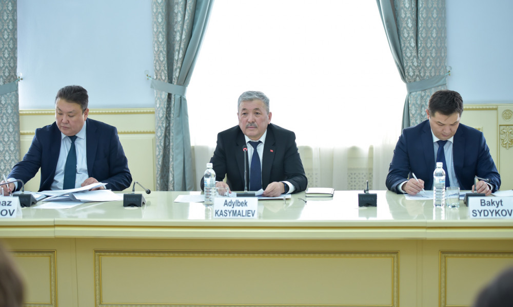 Адылбек Касымалиев Азия өнүктүрүү банкынын директорлор кеңешинин өкүлдөрү менен жолугушту