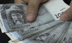 Президенттин Ысык-Көлдөгү өкүлүнүн аппараты сел жүргөн Түп районуна бир күндүк маянасын которот 