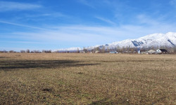 Ысык-Көл облусунда Көлбаевге тиешелүү 115 гектар жер мамлекетке кайтарылды