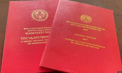 56 миңден ашык  жаран кызыл китепке ээ болду