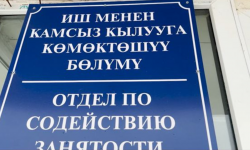 Жумушсуз жаштарга иш берилүүдө 