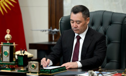 Эми интернет аркылуу бирөөнү мазактап, кемсинтсең айып төлөйсүң