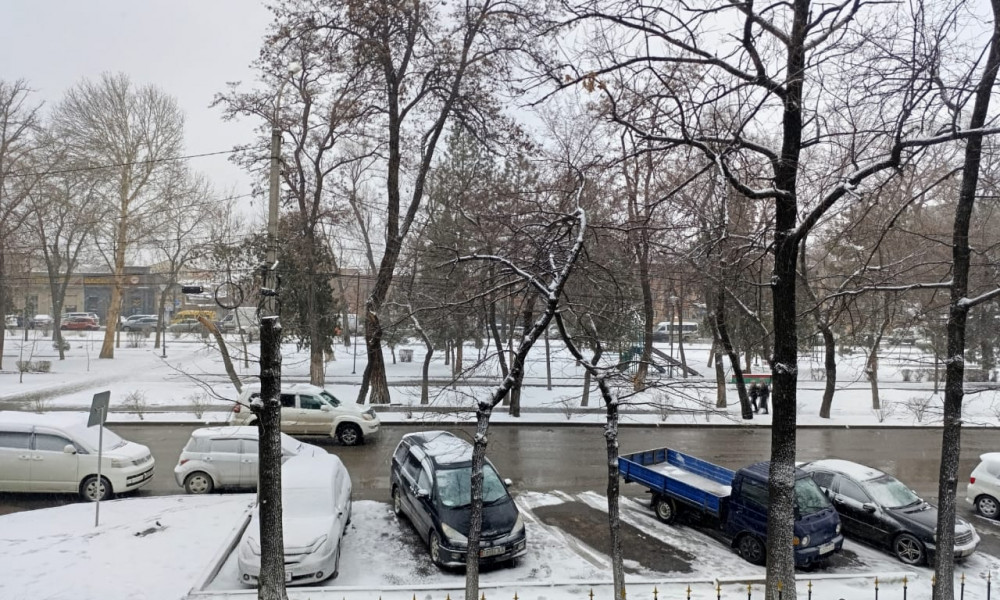 Эртең айрым аймактарда кар жаайт