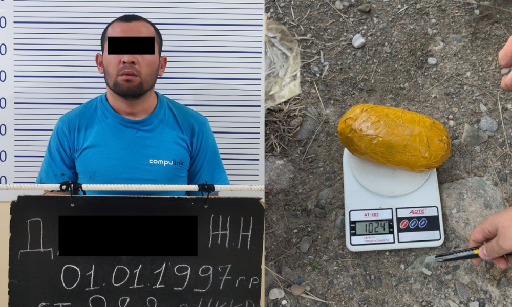 Чек арадан баңгизат алып өткөн чет элдик жаран кармалды
