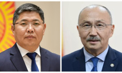 Президенттик администрациянын тышкы саясат бөлүмүнүн башчысы алмашты