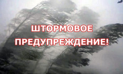 В Бишкеке и Чуйской области в ближайший три часа ожидается сильный ветер