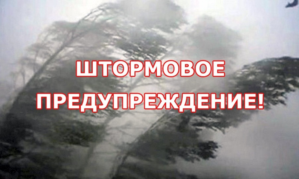 В Бишкеке и Чуйской области в ближайший три часа ожидается сильный ветер