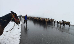 Ат-Башыда бир жарым карышка жеткен кар жаады