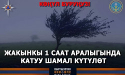 Новость