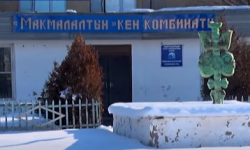 Каковы перспективы "Макмала"?