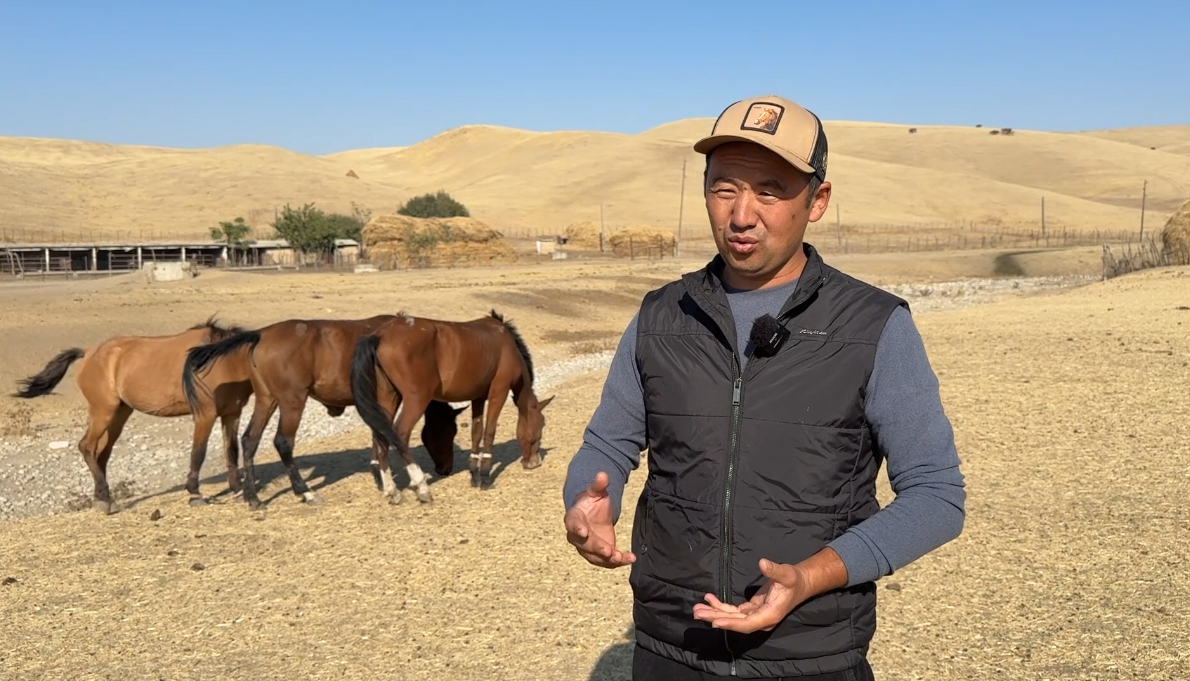 Жылкы баккан жаш миллионер фермер