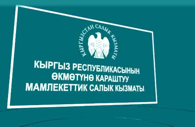 ГНС отзывает проект постановления Кабмина КР о наделении отдельного подразделения статусом правоохранительного органа