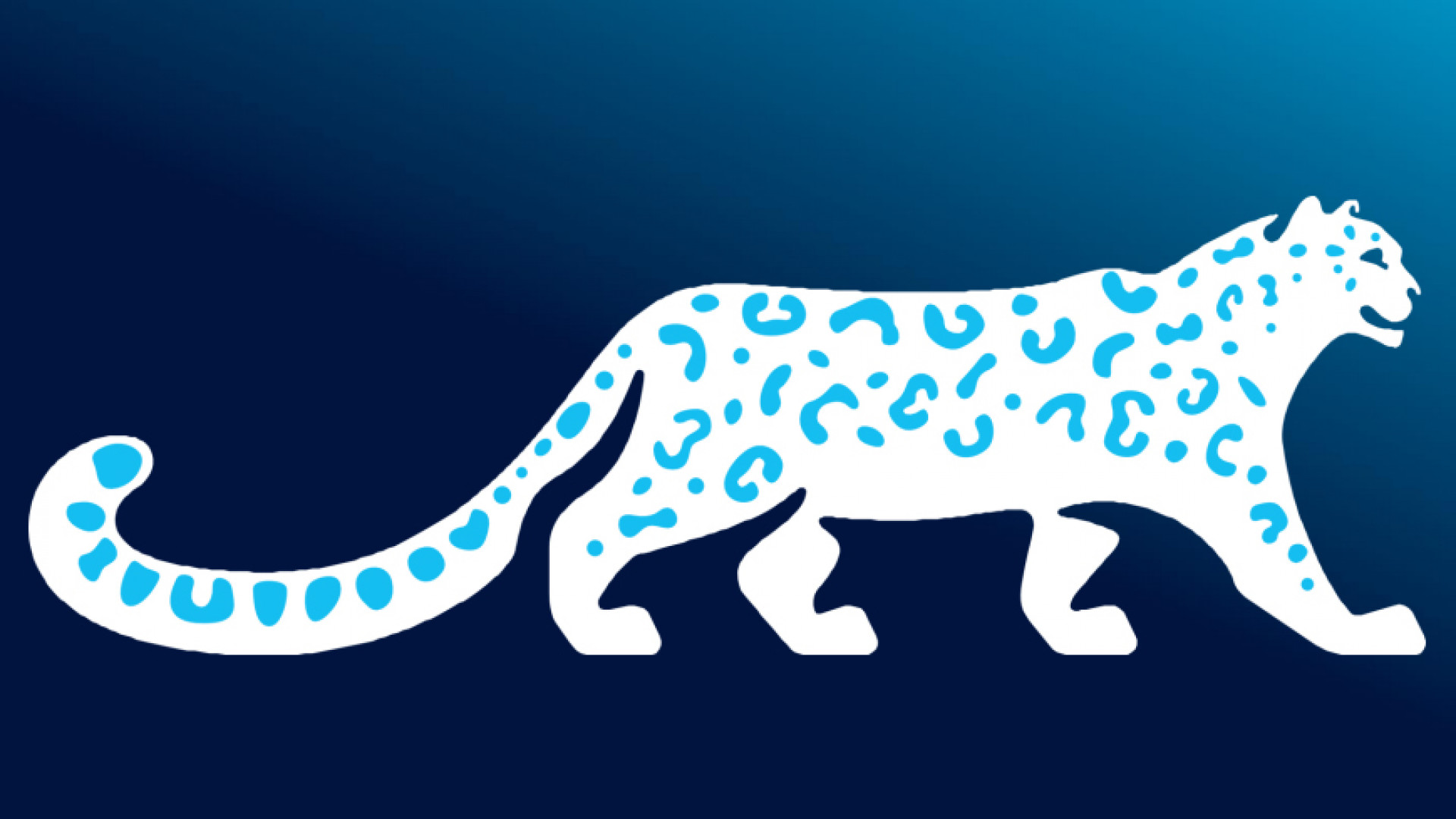 Министрлер Кабинети өлкөнүн улуттук символу – ак илбирстин логотибин бекитти