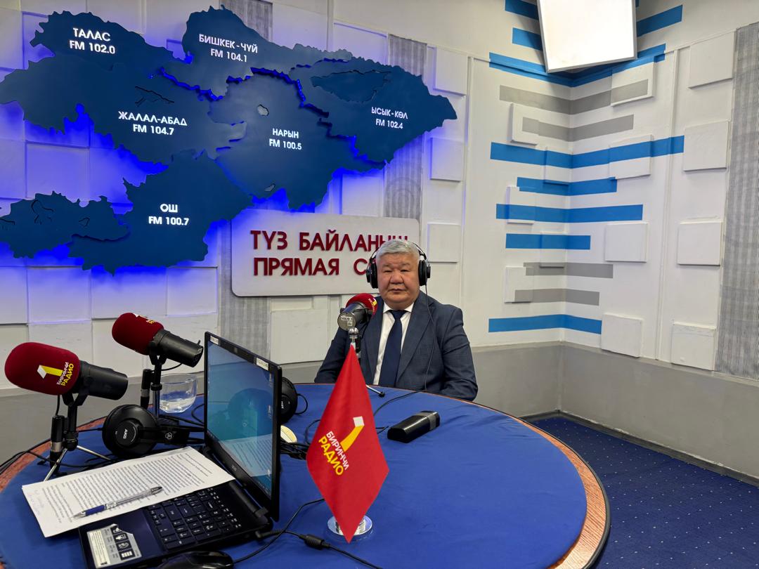 Жашыл энергетика: Кыргызстан Кытай менен кызматташууда