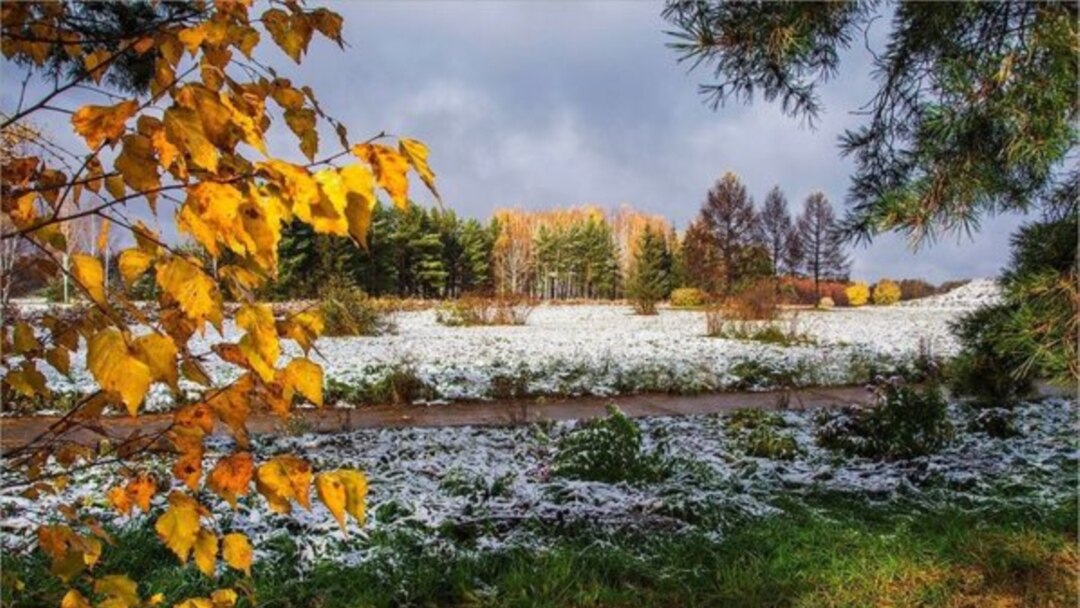 Өлкө суукка чулганат: -20 градус суук келе жатат