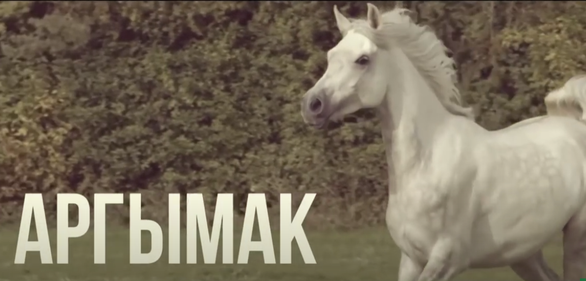 Аргымак